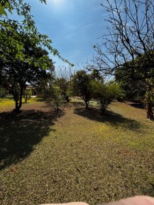 CHACARA BAIRRO LAJEADO - VENDA
